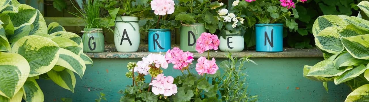 Do kiedy pelargonie na balkonie? Uniknij przymrozków i ciesz się kwitnieniem Do kiedy pelargonie na balkonie? Uniknij przymrozków i ciesz się kwitnieniem