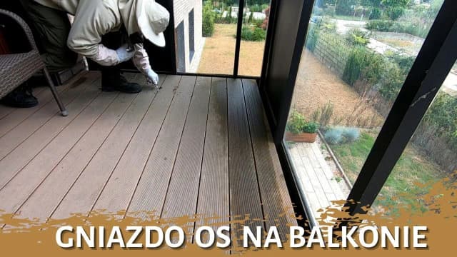 Jak odstraszyć pszczoły z balkonu i cieszyć się spokojem na świeżym powietrzu Jak odstraszyć pszczoły z balkonu i cieszyć się spokojem na świeżym powietrzu